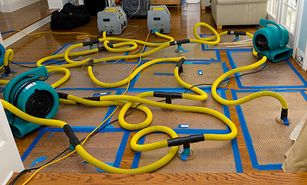 Professional Burst Pipe Water Damage technician working in Beverly Hills, MI